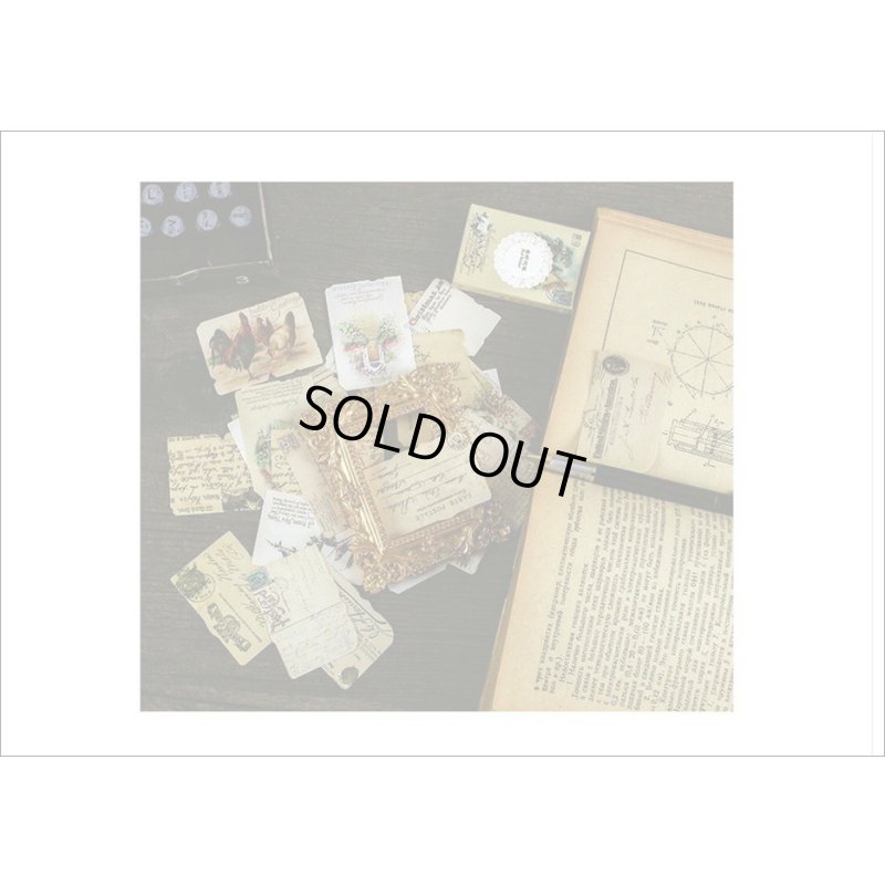 画像13: 長方形のいろいろシール＊アメリカンファッション＊柄違い24枚＊光沢シール＊箱入り＊海外製