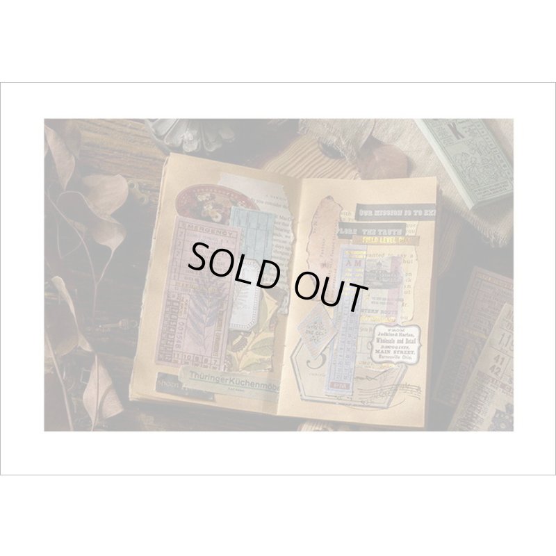 画像13: 第4弾！少しずつ制覇！！ちびコンプリートセット＊チケットコレクター＊40種＊海外製