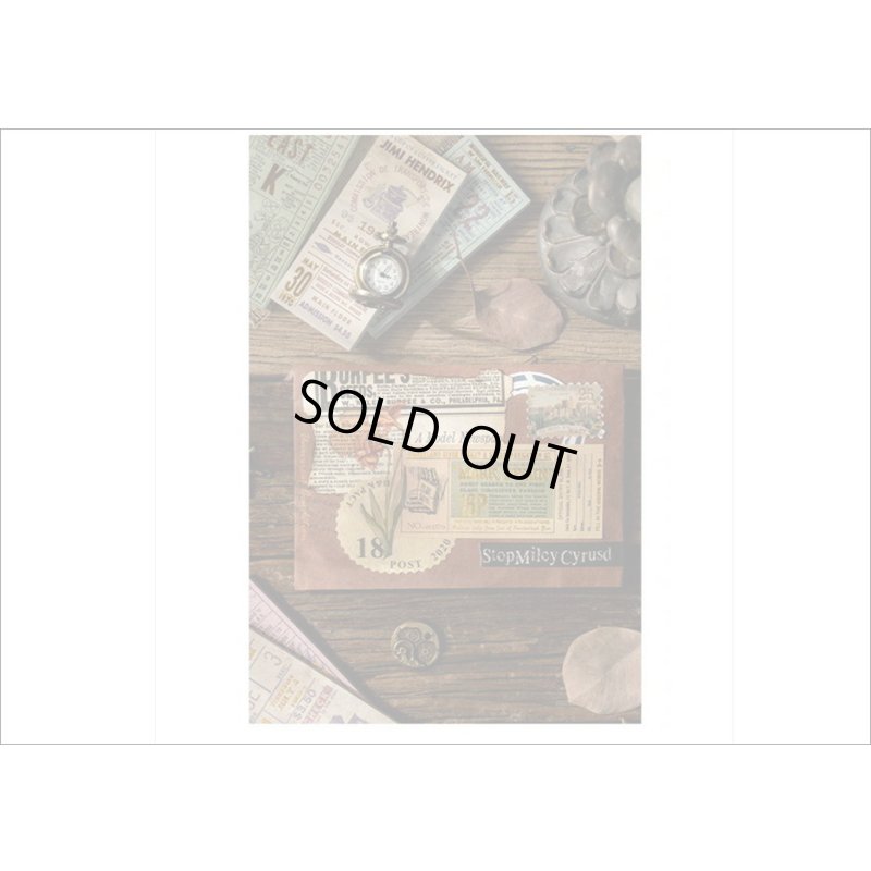 画像15: 第4弾！少しずつ制覇！！ちびコンプリートセット＊チケットコレクター＊40種＊海外製