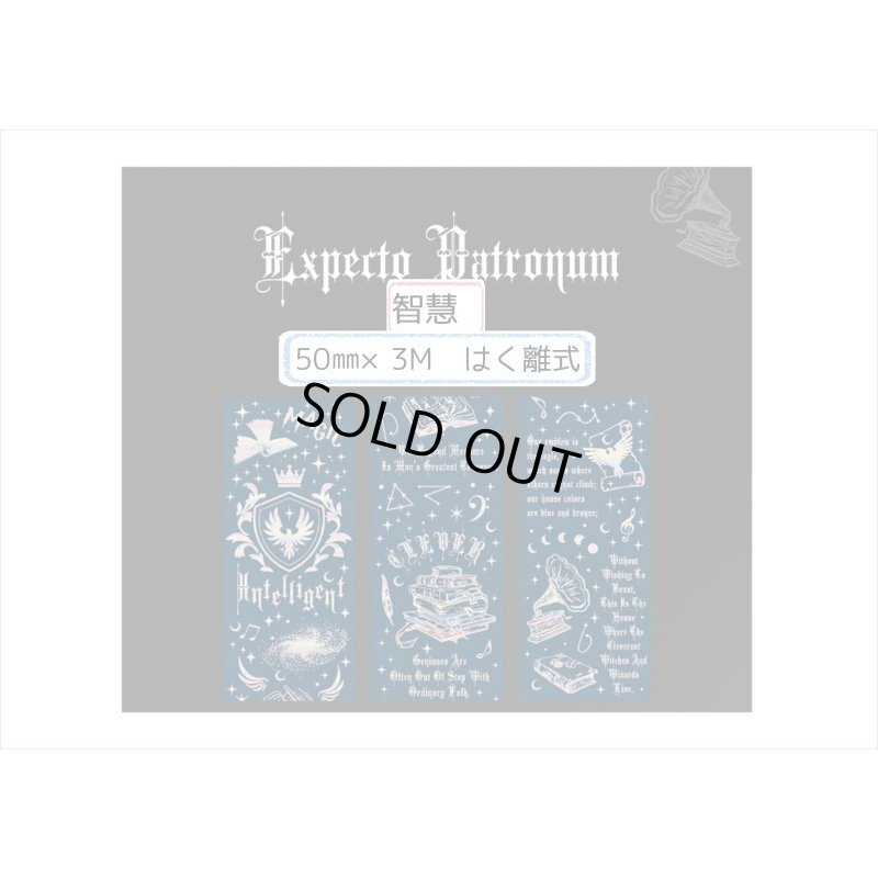 画像5: ホログラム＊智慧・ネイビー＊魔法入門＊はく離式＊海外マステ