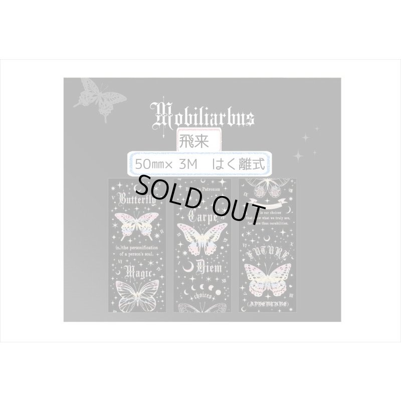 画像5: ホログラム＊飛来・ブラック＊魔法入門＊はく離式＊海外マステ