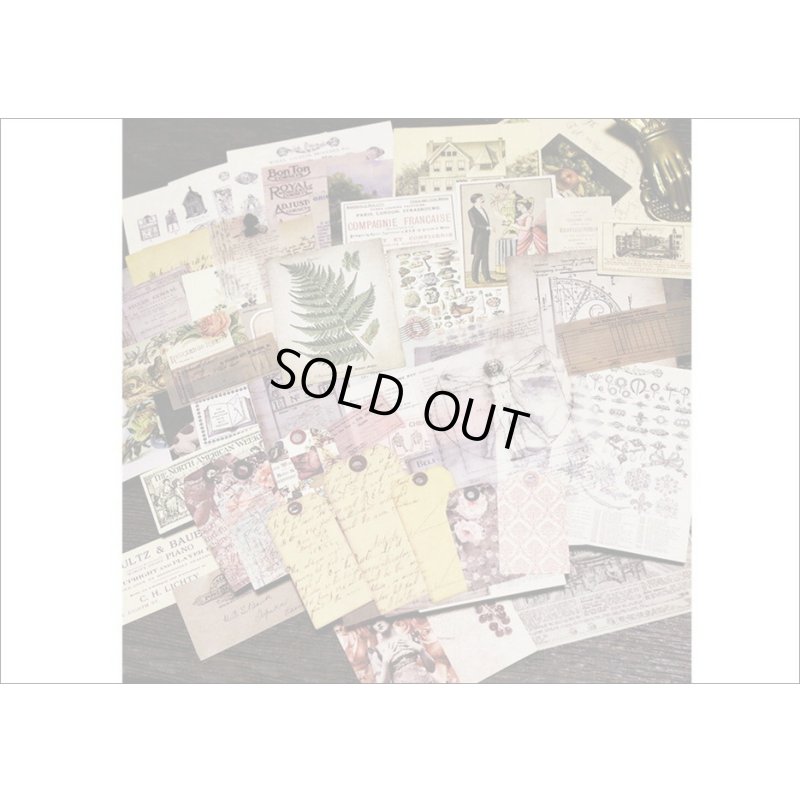 画像10: ペーパーいろいろセット＊3・シダ＊窓付きクラフト封入り＊海外製