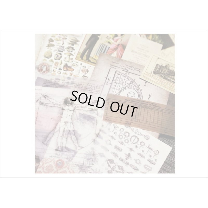 画像12: ペーパーいろいろセット＊3・シダ＊窓付きクラフト封入り＊海外製