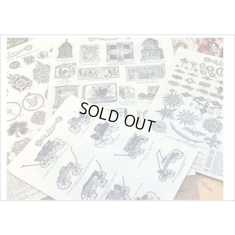 画像5: ペーパーいろいろセット＊3・シダ＊窓付きクラフト封入り＊海外製