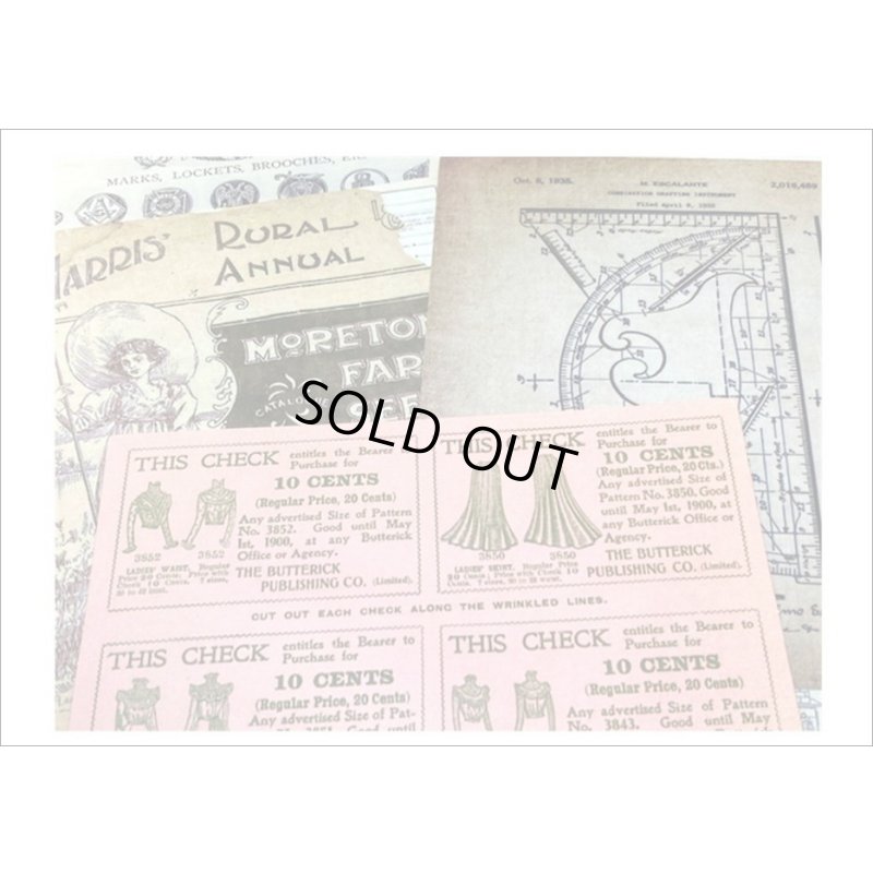 画像6: ペーパーいろいろセット＊3・シダ＊窓付きクラフト封入り＊海外製