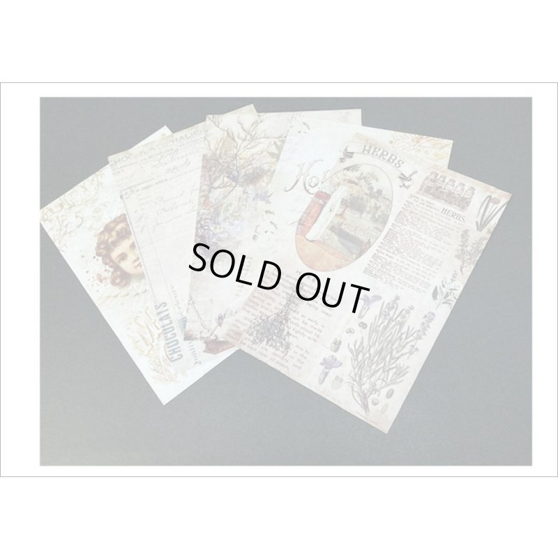 画像6: 窓付き＊クラフト封筒＊モダン＊紙モノいろいろセット＊レースペーパー付＊海外製