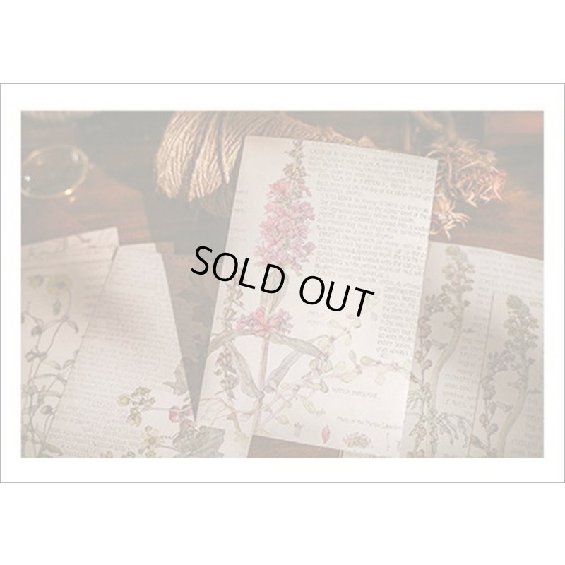 画像12: オシャレなブック風シール＊蝶々と花＊PVC入り25枚＊海外製