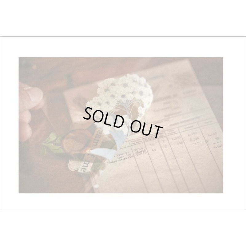 画像15: オシャレなブック風シール＊バラと楽譜＊PVC入り25枚＊海外製