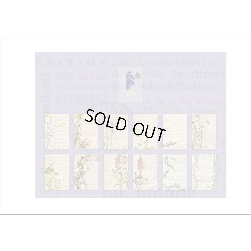 画像8: オシャレなブック風シール＊蝶々と花＊PVC入り25枚＊海外製