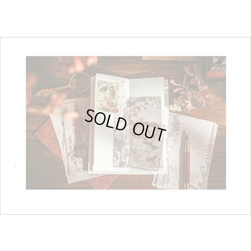 画像11: オシャレなブック風シール＊蝶々と花＊PVC入り25枚＊海外製