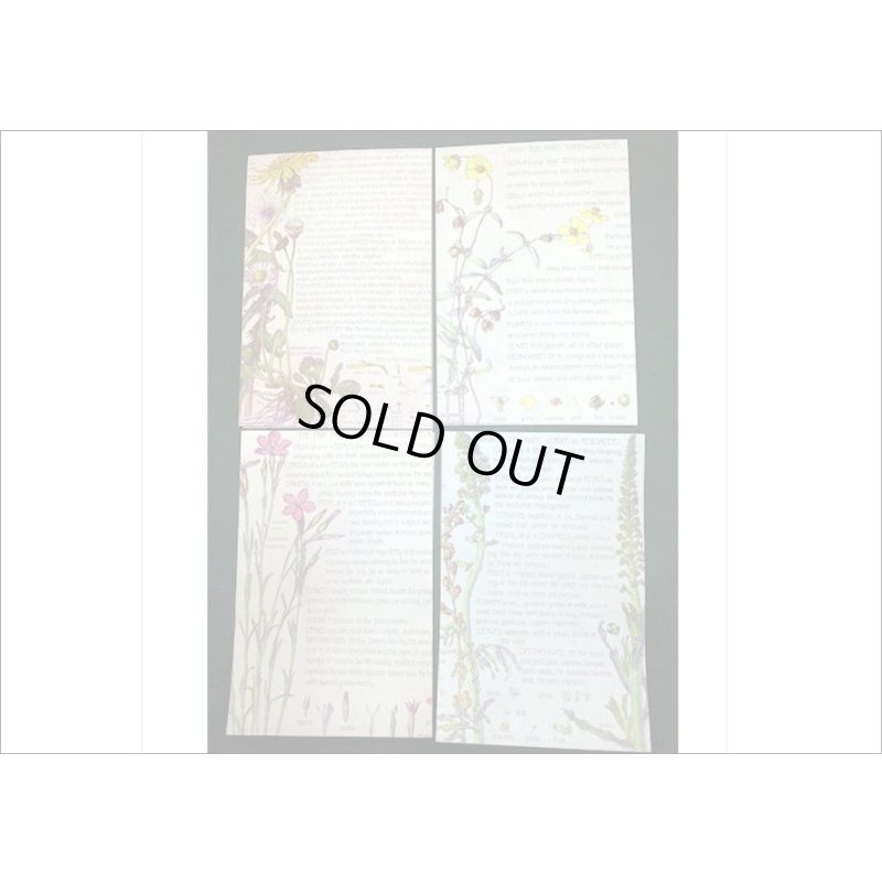 画像7: オシャレなブック風シール＊蝶々と花＊PVC入り25枚＊海外製