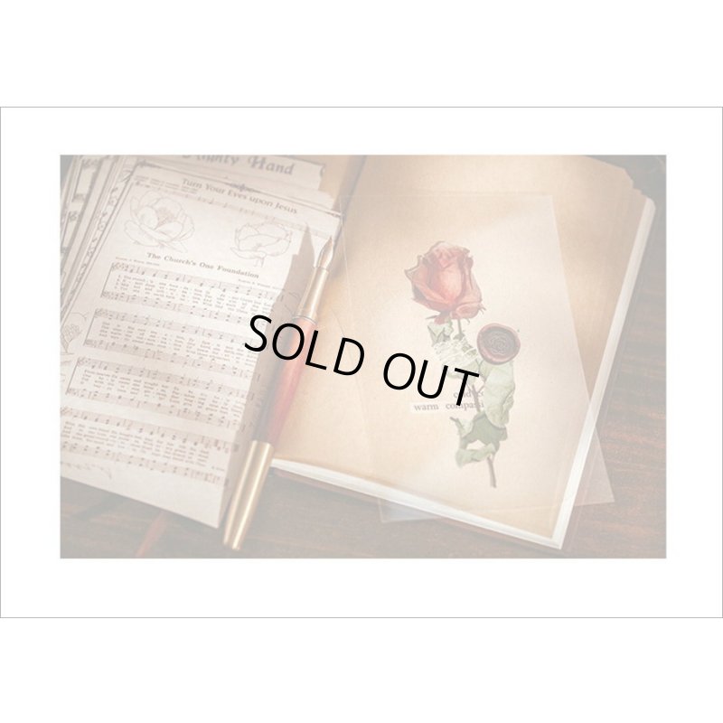 画像13: オシャレなブック風シール＊バラと楽譜＊PVC入り25枚＊海外製