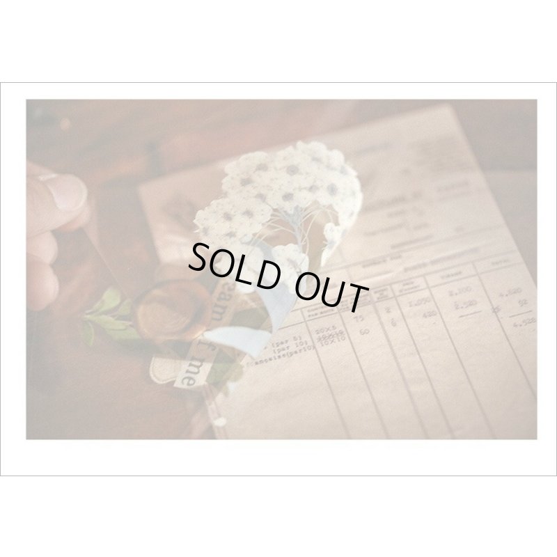 画像15: オシャレなブック風シール＊蝶々と花＊PVC入り25枚＊海外製