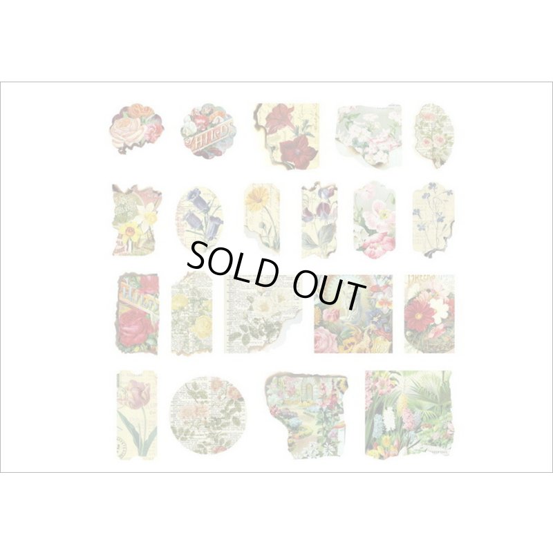 画像10: 和紙いろいろシール＊秘密の花園＊40枚＊海外製