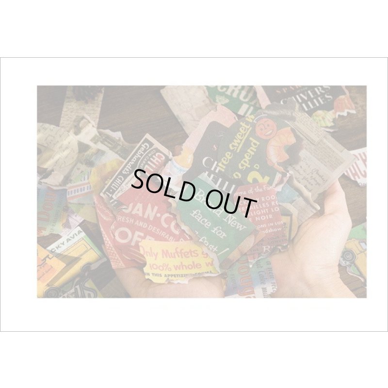 画像14: 和紙いろいろシール＊秘密の花園＊40枚＊海外製