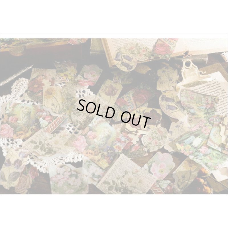 画像12: 和紙いろいろシール＊秘密の花園＊40枚＊海外製