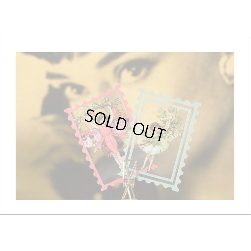 画像16: 切手型フレーム付＊ブラウン・秘密の花園＊PETシール＊50枚＊箱入り＊海外製