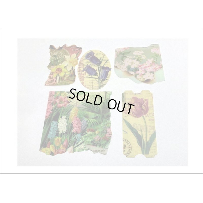 画像8: 和紙いろいろシール＊秘密の花園＊40枚＊海外製
