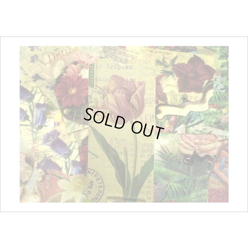 画像4: 和紙いろいろシール＊秘密の花園＊40枚＊海外製