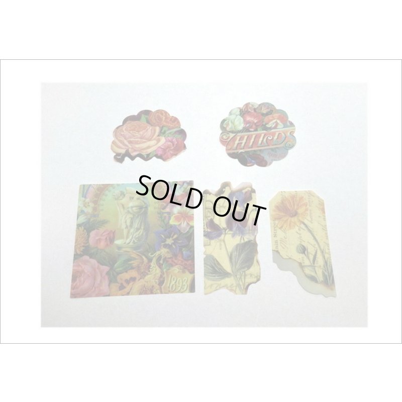 画像7: 和紙いろいろシール＊秘密の花園＊40枚＊海外製