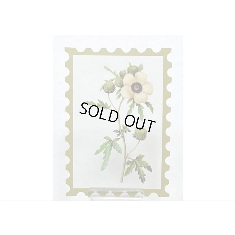 画像7: 切手型フレーム付＊ブラウン・秘密の花園＊PETシール＊50枚＊箱入り＊海外製