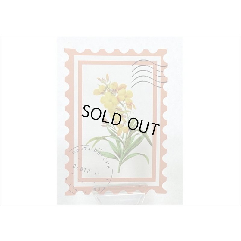 画像4: 切手型フレーム付＊ブラウン・秘密の花園＊PETシール＊50枚＊箱入り＊海外製