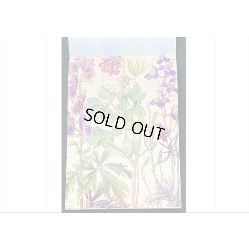 画像8: ヴィンテージ風ペーパーセット＊春の日記＊60枚＊海外製