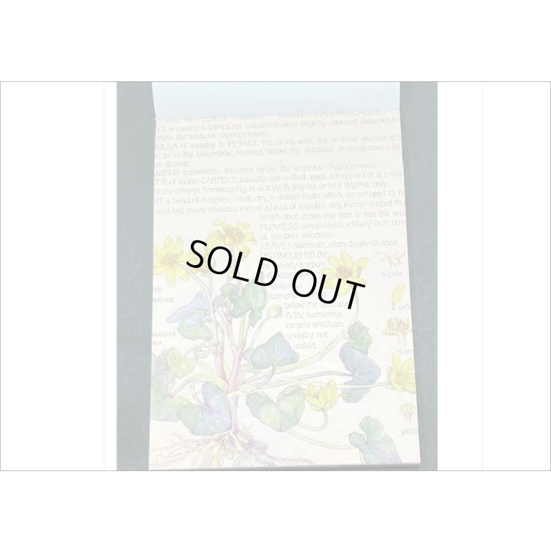 画像4: ヴィンテージ風ペーパーセット＊春の日記＊60枚＊海外製