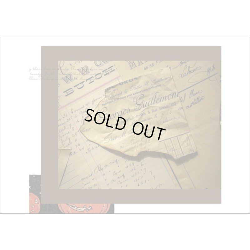 画像16: ヴィンテージ風ペーパーセット＊春の日記＊60枚＊海外製