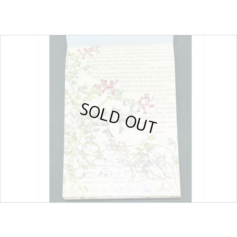 画像9: ヴィンテージ風ペーパーセット＊春の日記＊60枚＊海外製