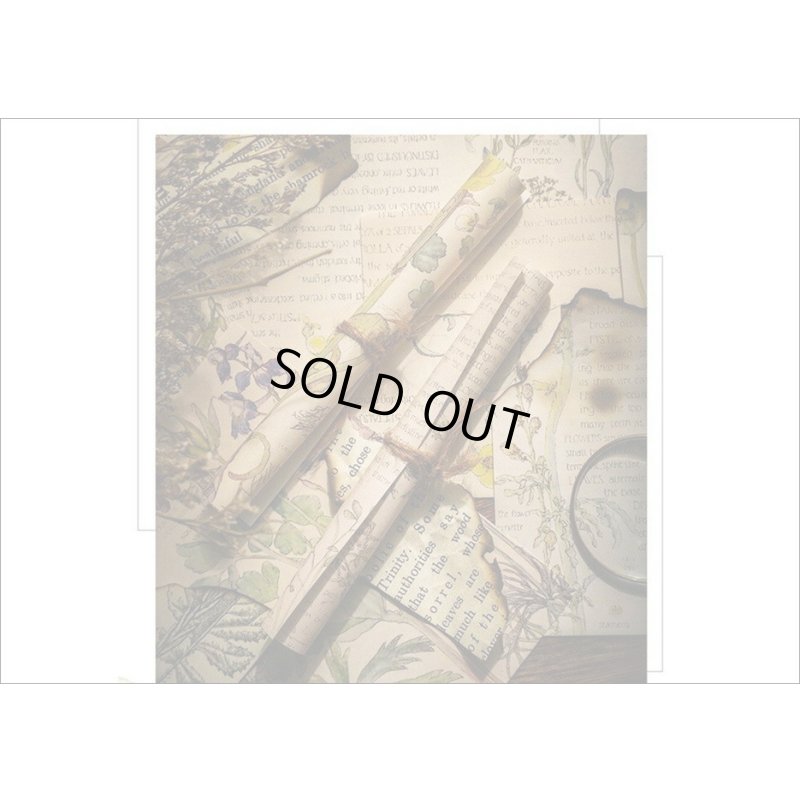 画像13: ヴィンテージ風ペーパーセット＊春の日記＊60枚＊海外製