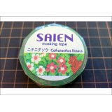 「ニチニチソウ」　SAIEN　彩宴　マスキングテープ