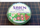 「ニチニチソウ」　SAIEN　彩宴　マスキングテープ