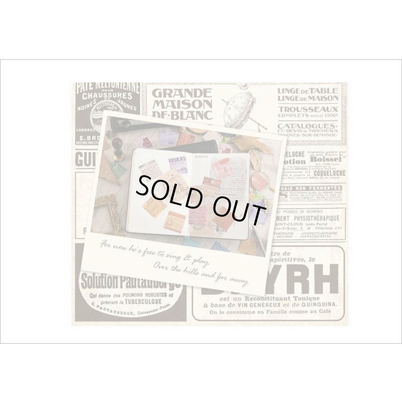 画像8: ヴィンテージ記事＊光沢シール＊46枚＊箱入り＊海外製