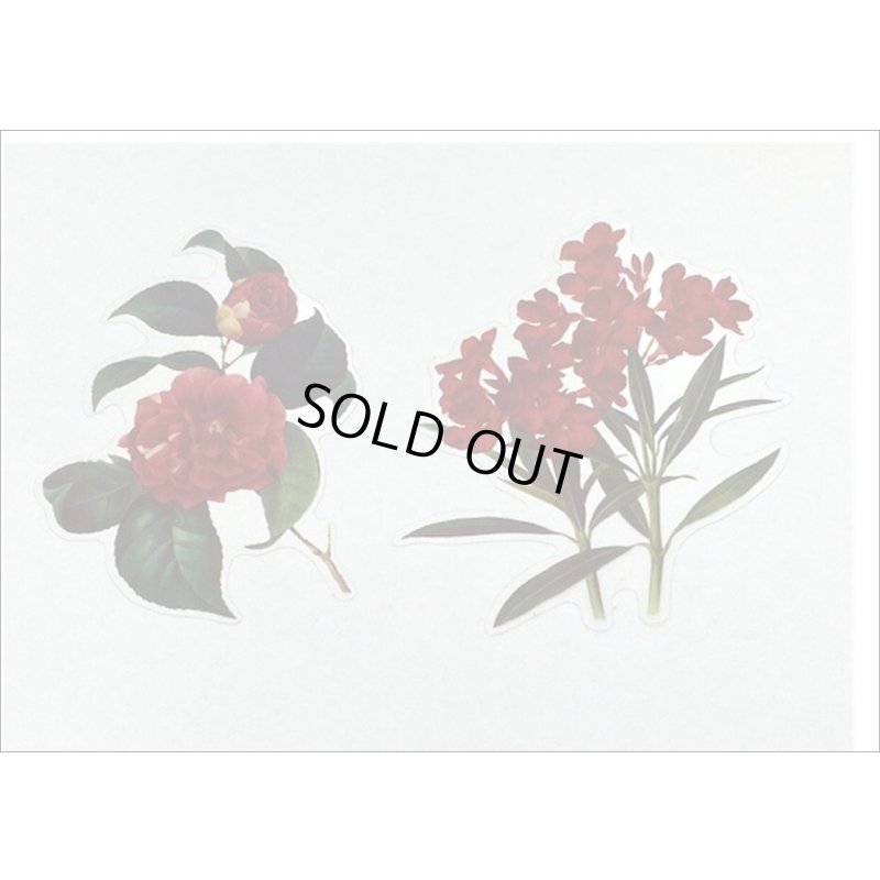 画像10: フレーム台紙＊バラ＊PETシール＊海外製