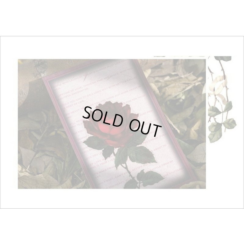 画像14: フレーム台紙＊バラ＊PETシール＊海外製