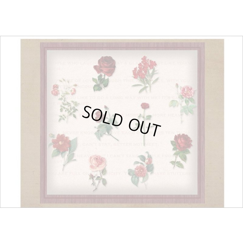 画像15: フレーム台紙＊バラ＊PETシール＊海外製