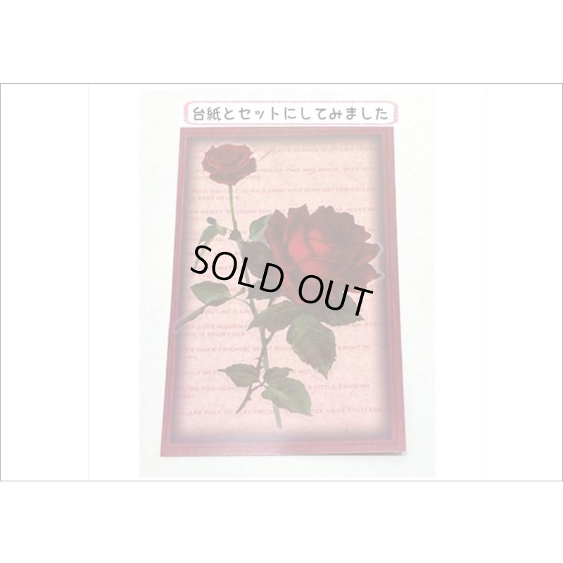 画像5: フレーム台紙＊バラ＊PETシール＊海外製