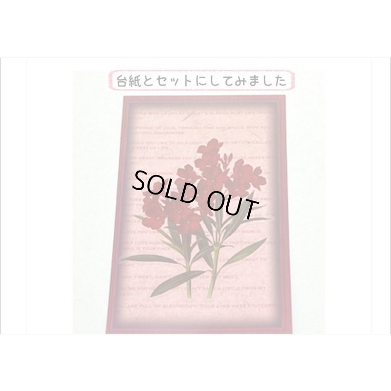 画像4: フレーム台紙＊バラ＊PETシール＊海外製