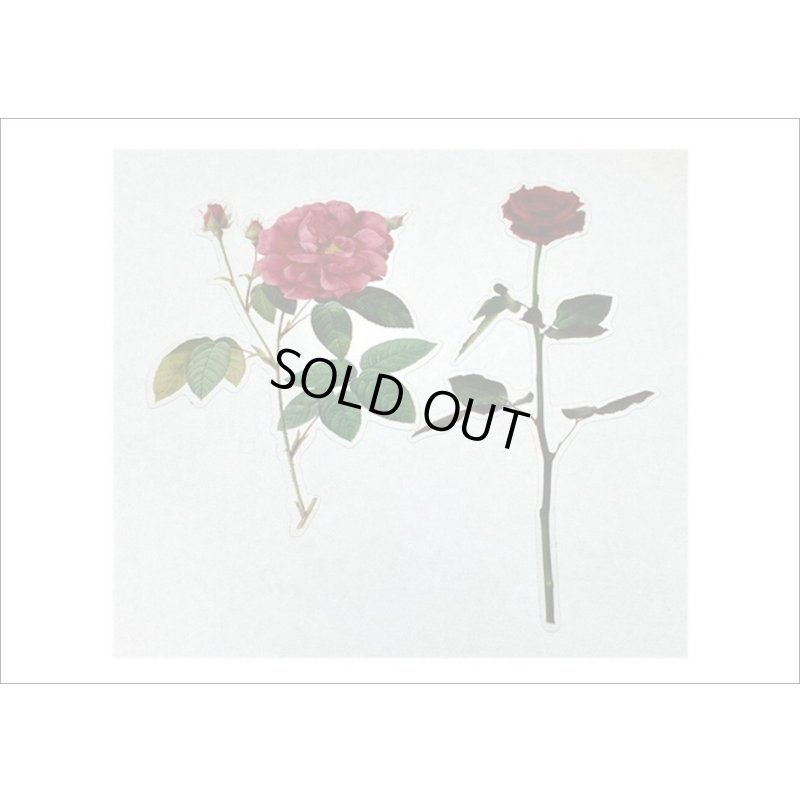 画像8: フレーム台紙＊バラ＊PETシール＊海外製