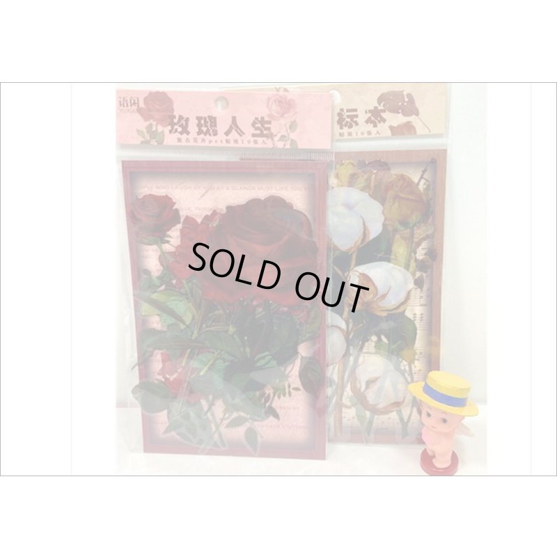 画像17: フレーム台紙＊バラ＊PETシール＊海外製