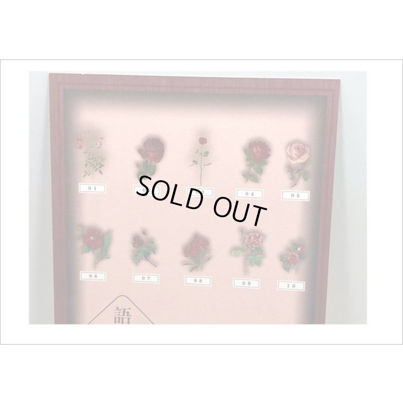 画像16: フレーム台紙＊バラ＊PETシール＊海外製