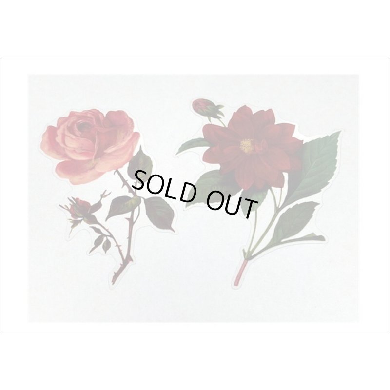 画像7: フレーム台紙＊バラ＊PETシール＊海外製