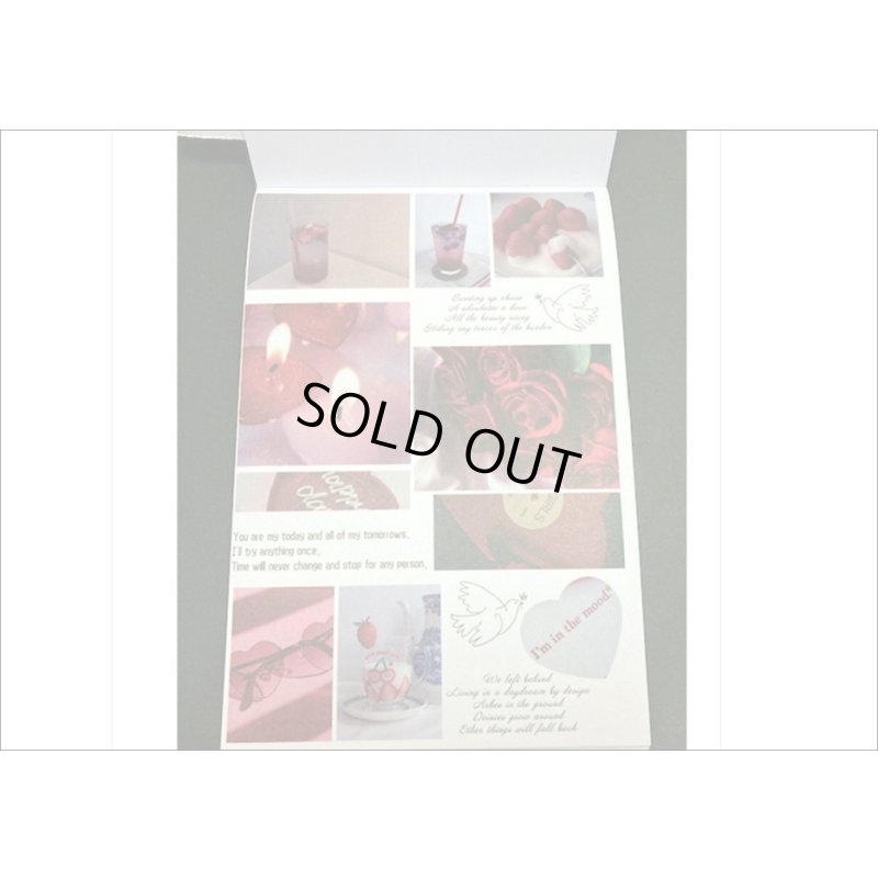 画像8: 50シート❕大きな和紙シール帳＊空＊海外製