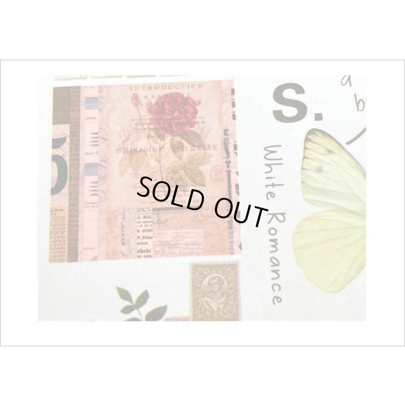 画像12: 50シート❕大きな和紙シール帳＊フラワーコレクション＊海外製