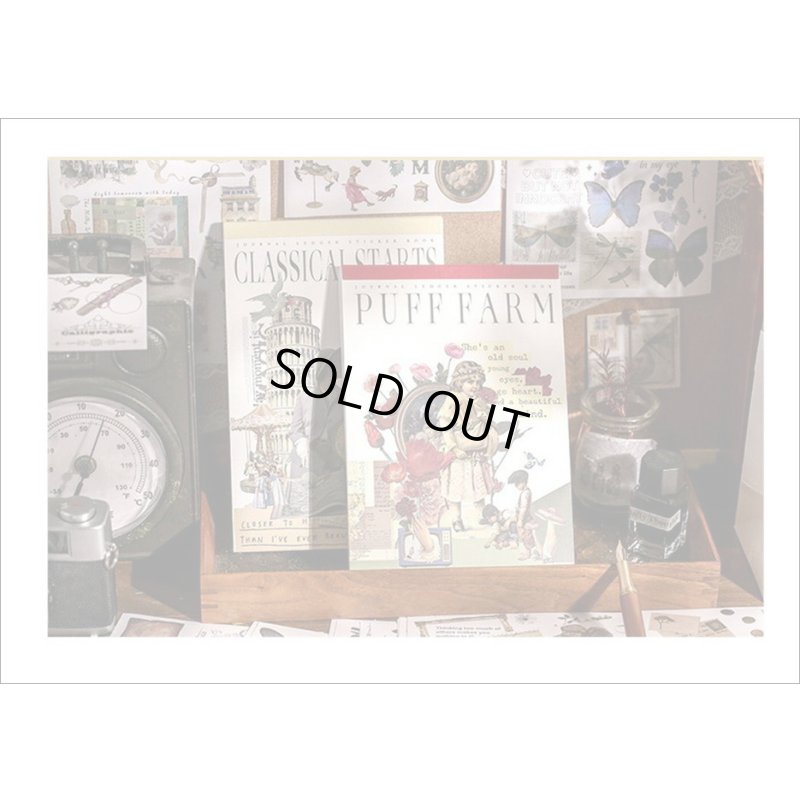 画像17: 50シート❕大きな和紙シール帳＊クラシカル＊海外製