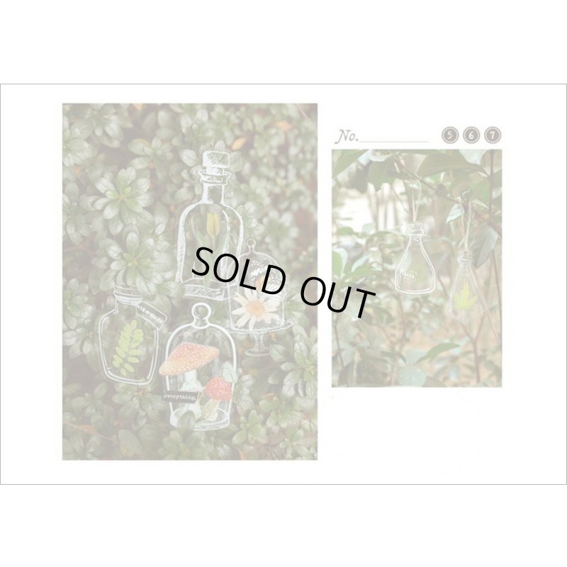 画像12: いろんなボトル♪漂流瓶＊防水＊PETシール＊20枚＊海外製