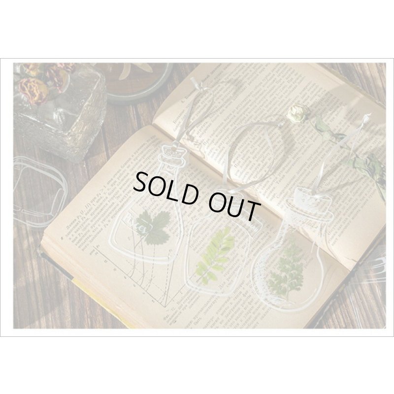 画像15: いろんなボトル♪メイソンジャー＊防水＊PETシール＊20枚＊海外製