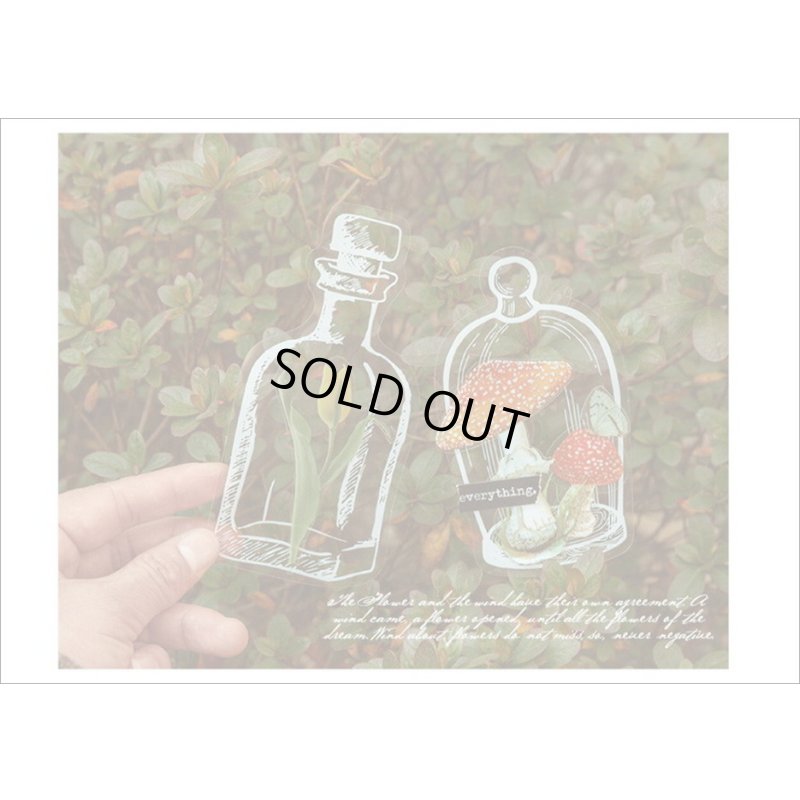 画像11: いろんなボトル♪ストレージタンク＊防水＊PETシール＊20枚＊海外製