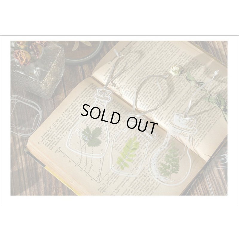 画像5: いろんなボトル♪漂流瓶＊防水＊PETシール＊20枚＊海外製